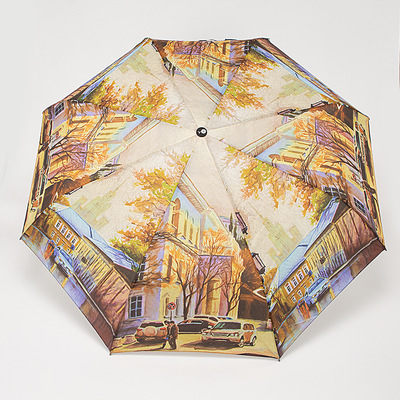 Зонт складной Rain Berry Машины / 739-237.1