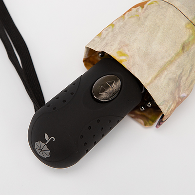 Зонт складной Rain Berry Машины / 739-237.1