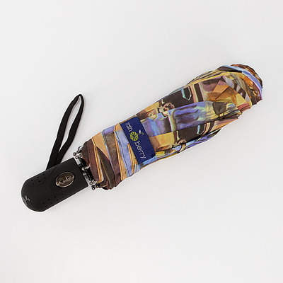 Зонт складной Rain Berry Машины / 739-237.1