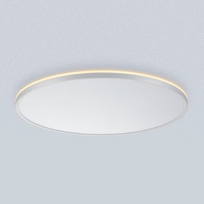 Потолочный светильник Citilux Norma CL748600