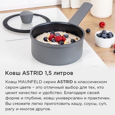 Ковш Maunfeld Astrid MF16ASTR1SP