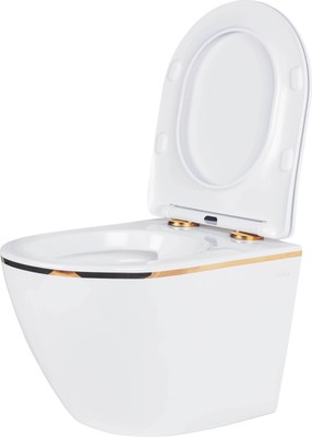 Унитаз подвесной Roxen Antares 530110-01G Rimless Soft Close NC