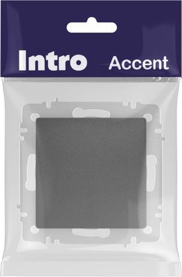 Выключатель INTRO Accent 6-108-07 / Б0063592