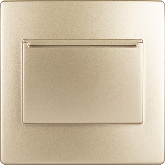 Накладка на карточный выключатель ЭРА 12-6201-04 / Б0043203 - фото