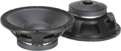 Динамик для профессиональной акустики Biema L1525 - фото