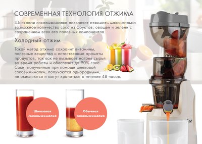 Соковыжималка электрическая VLK Profi-3300 (бежевый)