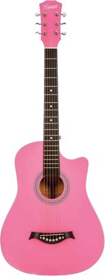 Акустическая гитара Belucci BC-C38 PI - фото