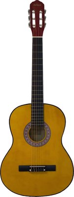 Акустическая гитара Belucci BC3405 OR - фото