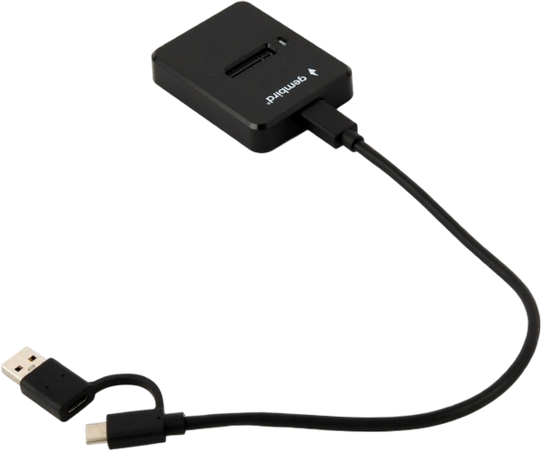 Док-станция для жесткого диска Gembird DD-U3M2 - фото