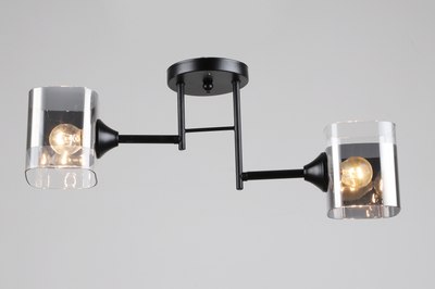 Потолочный светильник Mirastyle SX-N-2215/2 BK