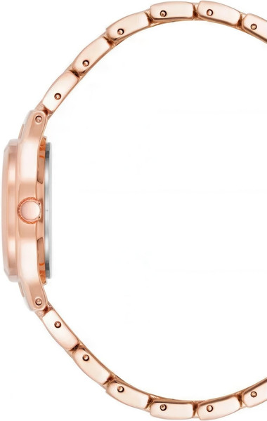 Часы наручные женские Anne Klein 10/5490MVRG