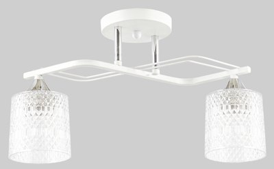 Потолочный светильник Aitin-Pro НПБ 02-2x60-101 / 6204/2 - фото