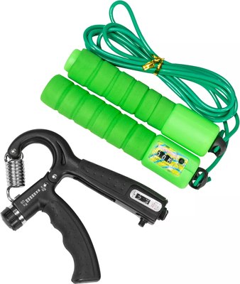 Электрическая беговая дорожка Alpin Reise T-173