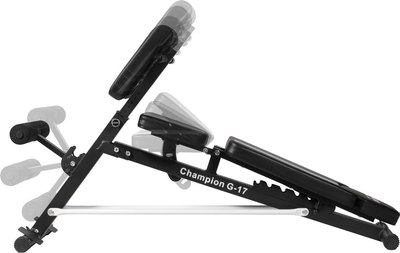 Скамья многофункциональная Alpin Champion G-17