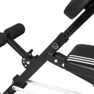 Скамья многофункциональная Alpin Champion G-17