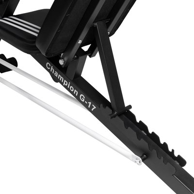 Скамья многофункциональная Alpin Champion G-17