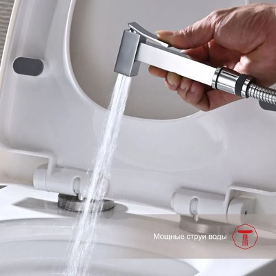 Гигиенический душ Raglo Raglo R01.52