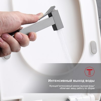 Гигиенический душ Raglo Raglo R01.52.09