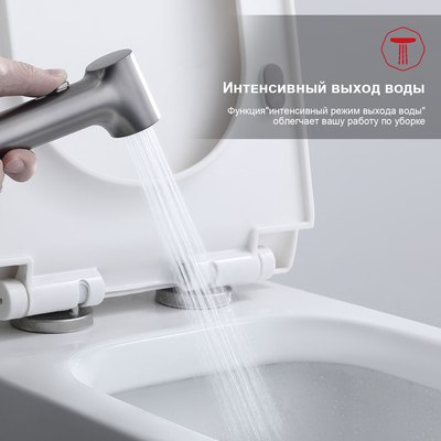 Гигиенический душ Raglo Raglo R03.52.09