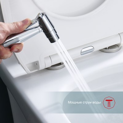 Гигиенический душ Raglo Raglo R20.52