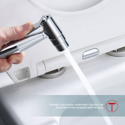 Гигиенический душ Raglo Raglo R20.52