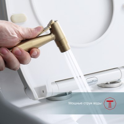 Гигиенический душ Raglo Raglo R20.52.03