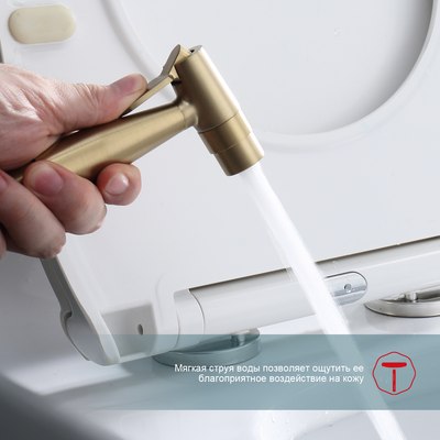 Гигиенический душ Raglo Raglo R20.52.03