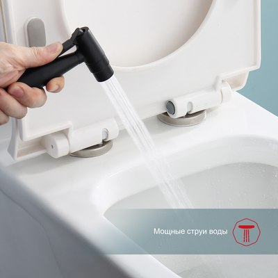 Гигиенический душ Raglo Raglo R20.52.06