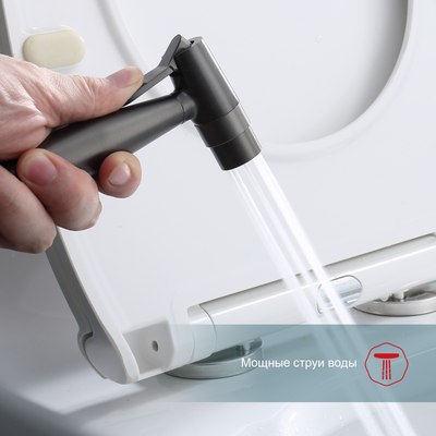 Гигиенический душ Raglo Raglo R20.52.09