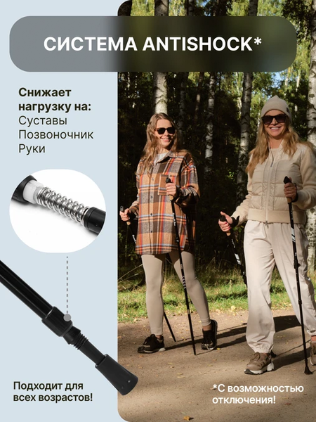 Палка для скандинавской ходьбы RoadLike Protect / 432076