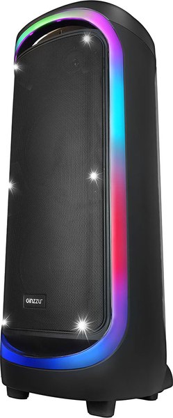 Портативная колонка Ginzzu GM-206 - фото