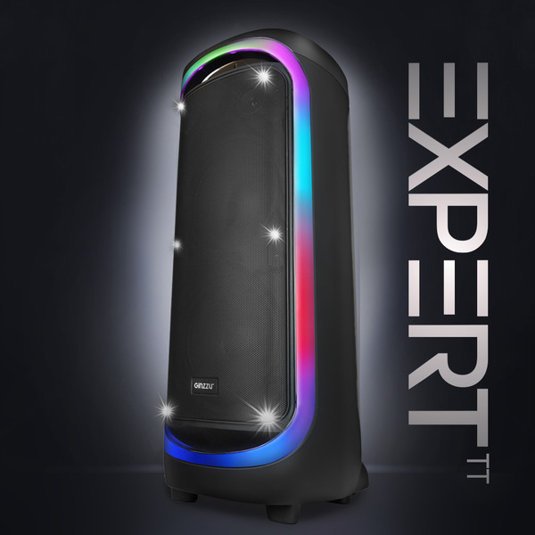 Портативная колонка Ginzzu GM-206