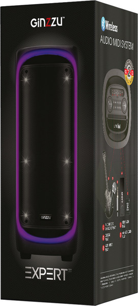 Портативная колонка Ginzzu GM-206