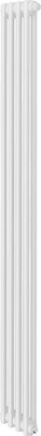 Радиатор стальной Royal Thermo Insignia VC2180 - 04 секции RAL9016 - фото