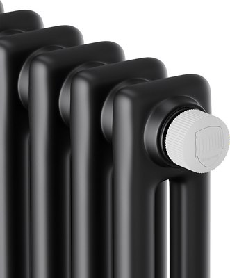 Радиатор стальной Royal Thermo Insignia VC2180 - 08 секций RAL9005m