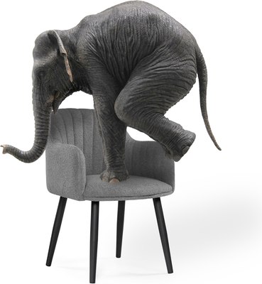 Стул Woodville Халли