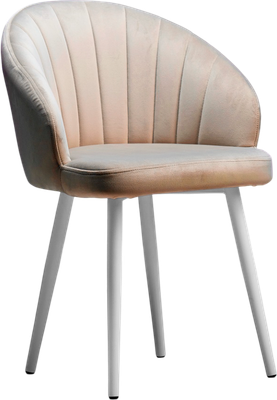 Стул Памир Зефир F06 - фото