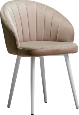 Стул Памир Зефир F08 - фото