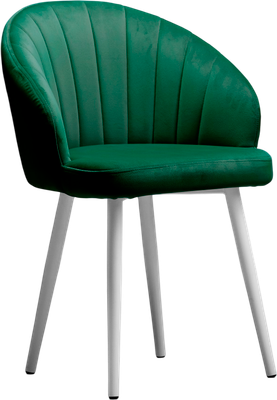 Стул Памир Зефир F74 - фото