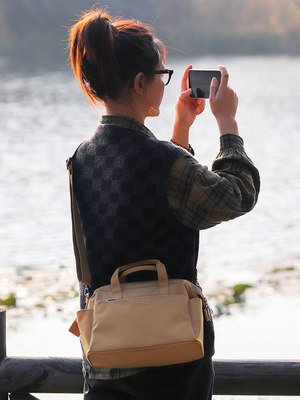 Сумка Happy Home EMB-005C