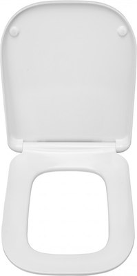 Сиденье для унитаза Roca ZRU9307682