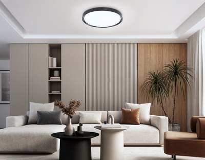 Потолочный светильник Ambrella Orbital FZ1248 BK