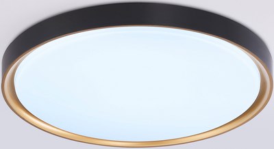 Потолочный светильник Ambrella Orbital FZ1249 BK/GD - фото