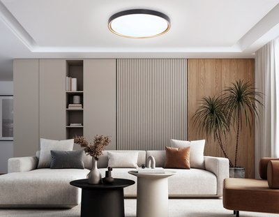 Потолочный светильник Ambrella Orbital FZ1249 BK/GD