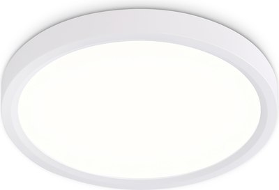 Потолочный светильник Ambrella Orbital FZ1901 WH