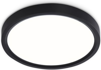 Потолочный светильник Ambrella Orbital FZ1902 BK