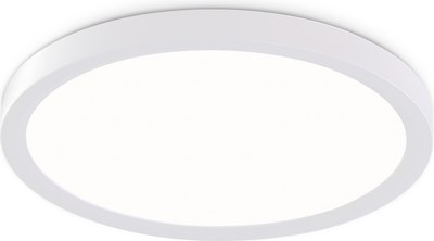 Потолочный светильник Ambrella Orbital FZ1903 WH