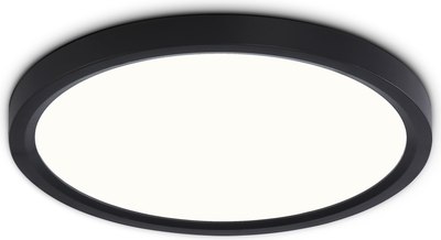 Потолочный светильник Ambrella Orbital FZ1904 BK