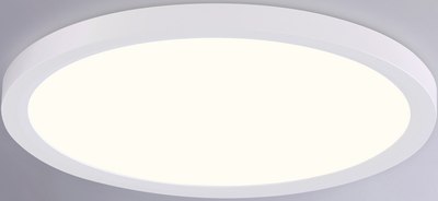 Потолочный светильник Ambrella Orbital FZ1905 WH - фото