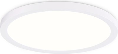 Потолочный светильник Ambrella Orbital FZ1905 WH